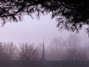 ArdentImages_20151210_SD1M11099xm