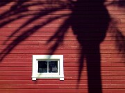 ArdentImages_20xxxxxx_SD09_09234r