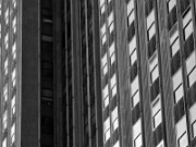 ArdentImages_20xxxxxx_SD09_09515