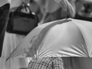 ArdentImages_20xxxxxx_SD10_09483cg