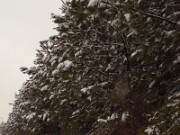 ArdentImages_20030228_SD09_00253