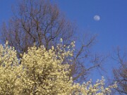 ArdentImages_20030413_SD09_00666