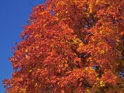 ArdentImages_20041028_SD09_04619