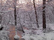 ArdentImages_20090302_SD10_20801e