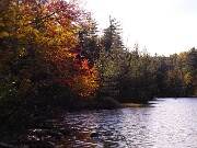 ArdentImages_20101011_SD10_21453