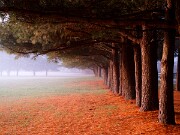 ArdentImages_20151210_SD1M11095x16x9