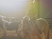 ArdentImages_20101023_SD10_21482c