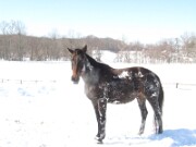 ArdentImages_20xxxxxx_IMG_1313