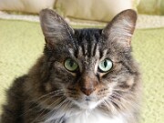 ArdentImages_20xxxxxx_L120_0171rs