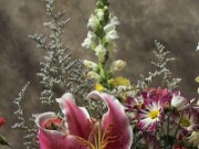 ArdentImages_20030213_SD09_00132