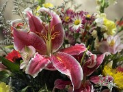 ArdentImages_20030213_SD09_00137