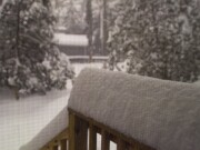 ArdentImages_20030228_SD09_00240