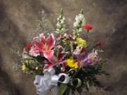 ArdentImages_2xxxxxxx_5_00131