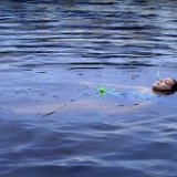 0218e2  Images from Telaria River, an orginal full-length faerie tale novel : faerie, fairy, Mythography Creations, Telaria River