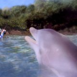 0226e2  Images from Telaria River, an orginal full-length faerie tale novel : faerie, fairy, Mythography Creations, Telaria River