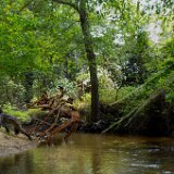 0507e2  Images from Telaria River, an orginal full-length faerie tale novel : faerie, fairy, Mythography Creations, Telaria River