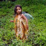 0622e2  Images from Telaria River, an orginal full-length faerie tale novel : faerie, fairy, Mythography Creations, Telaria River