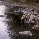 1012e2  Images from Telaria River, an orginal full-length faerie tale novel : faerie, fairy, Mythography Creations, Telaria River