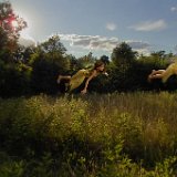 1606e1  Images from Telaria River, an orginal full-length faerie tale novel : faerie, fairy, Mythography Creations, Telaria River