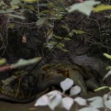 Sturgor  Images from Telaria River, an orginal full-length faerie tale novel : faerie, fairy, Mythography Creations, Telaria River