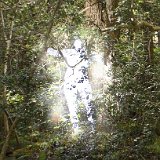 TheShrisen  Images from Telaria River, an orginal full-length faerie tale novel : faerie, fairy, Mythography Creations, Telaria River