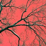 AISD09 00087rMod  Fine art, scenic, still life, abstract, and commercial images including tear sheets : fine art, scenic, nature, abstract