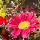 AISD09 00136  Fine art, scenic, still life, abstract, and commercial images including tear sheets : fine art, scenic, nature, abstract