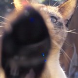 AISD09 01970  Fine art, scenic, still life, abstract, and commercial images including tear sheets : fine art, scenic, nature, abstract