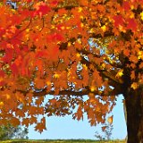 AISD09 04607  Fine art, scenic, still life, abstract, and commercial images including tear sheets : fine art, scenic, nature, abstract