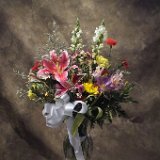 AI5 00131  Fine art, scenic, still life, abstract, and commercial images including tear sheets : fine art, scenic, nature, abstract