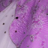 AI5 Tutu 11841  Fine art, scenic, still life, abstract, and commercial images including tear sheets : fine art, scenic, nature, abstract