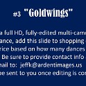 03-Goldwings
